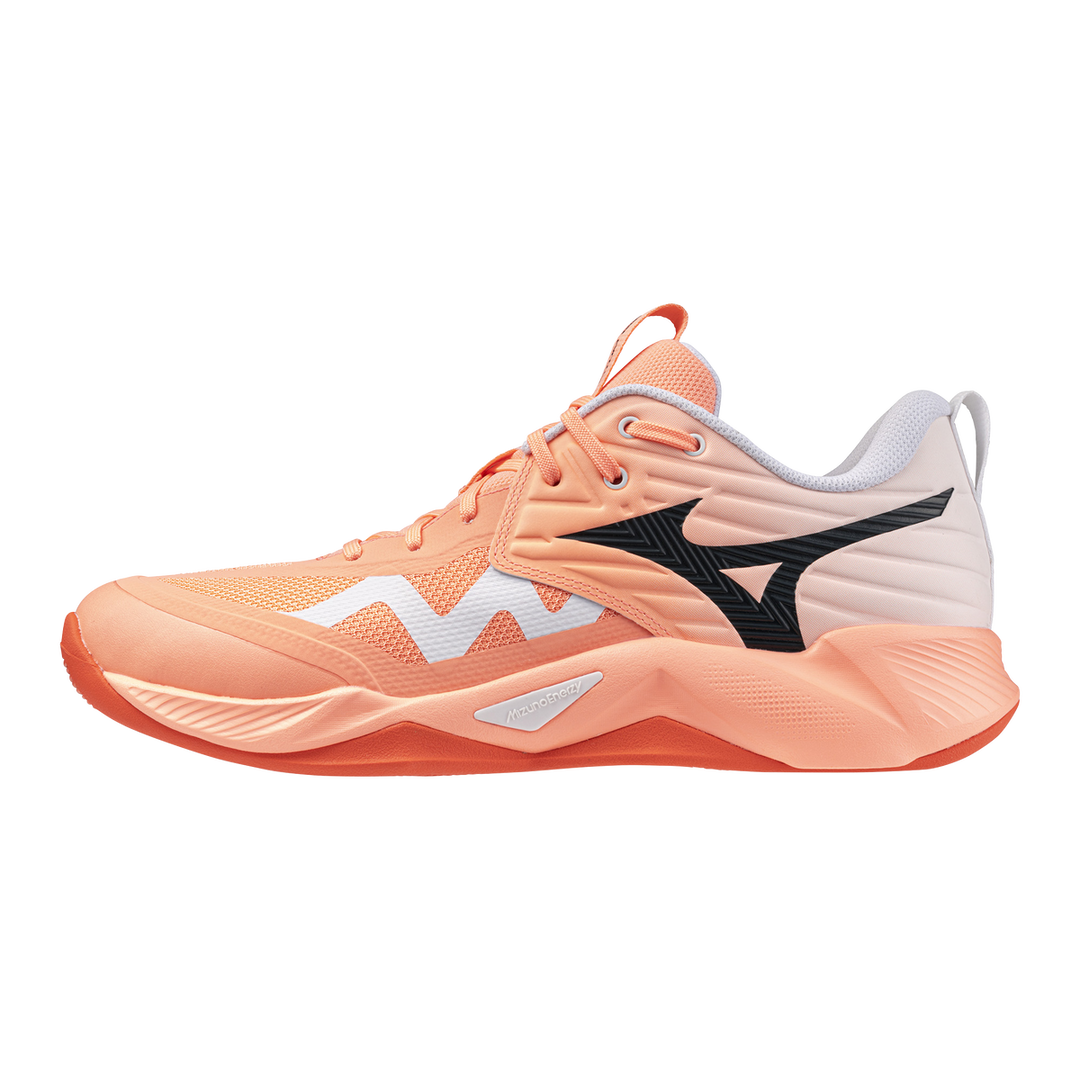 Zapatillas Mizuno V1GA254080