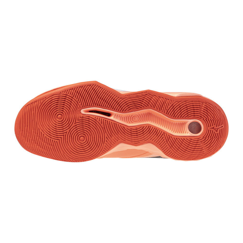 Zapatillas Mizuno V1GA254080