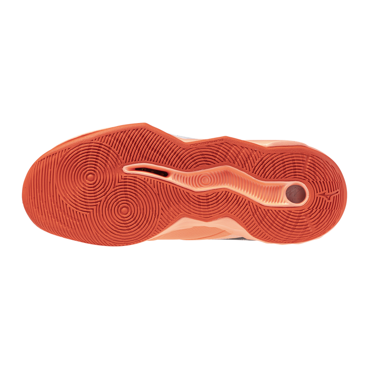 Zapatillas Mizuno V1GA254080
