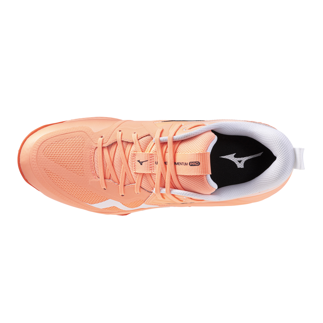 Zapatillas Mizuno V1GA254080