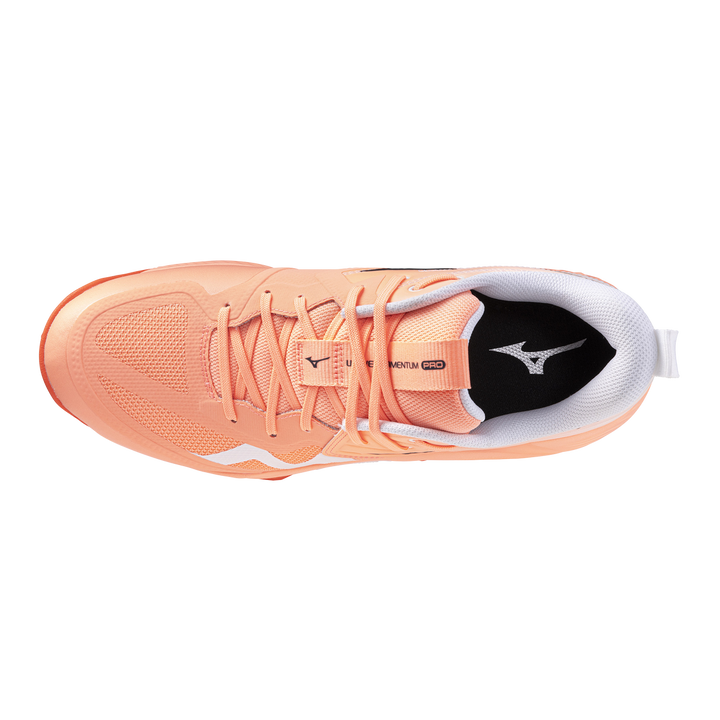 Zapatillas Mizuno V1GA254080