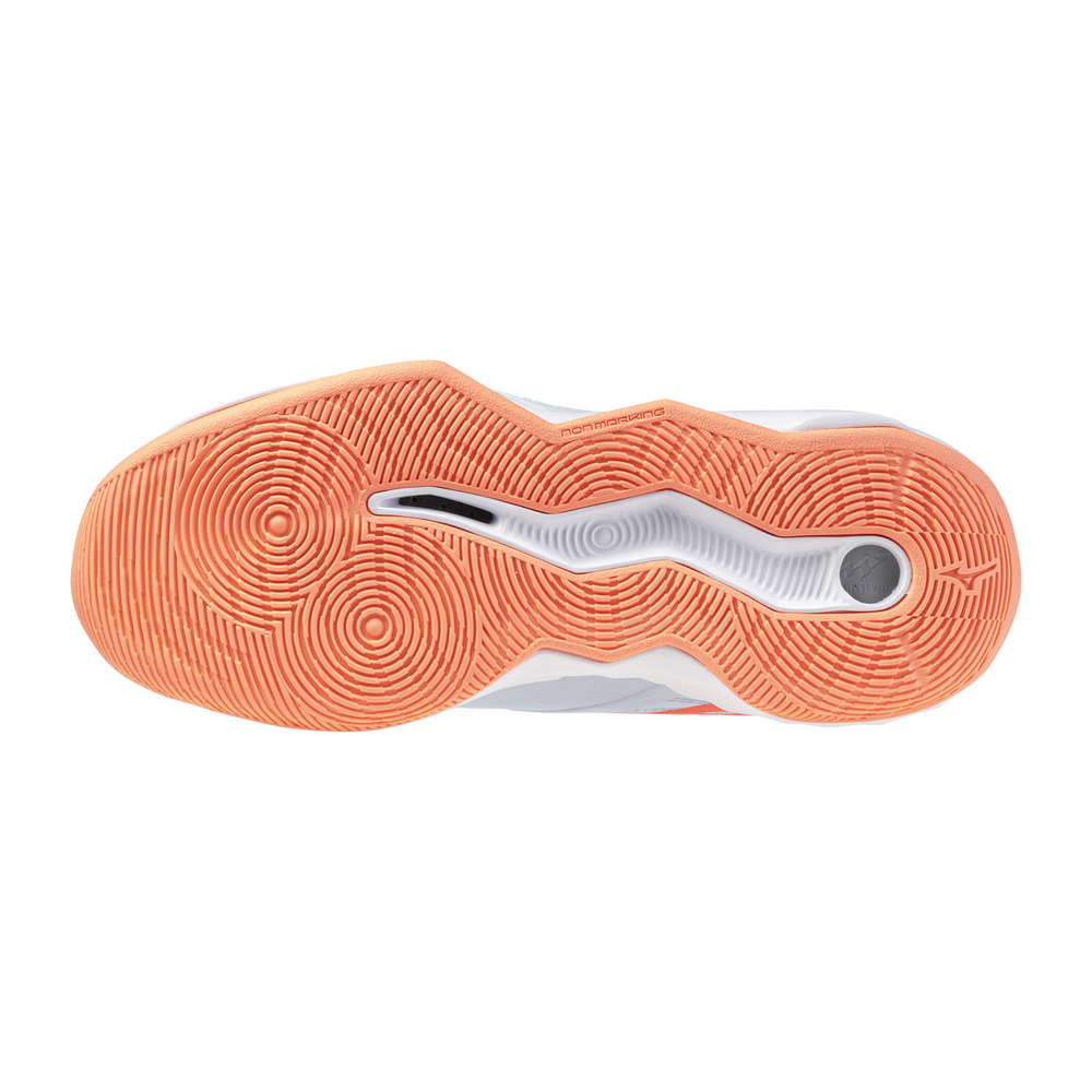 Zapatillas Mizuno V1GC254084