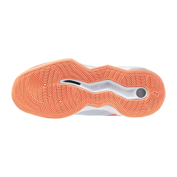 Zapatillas Mizuno V1GC254084